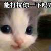 小长夜